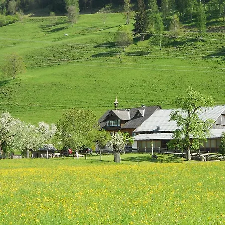 Weitgasserhof 3* Schladming