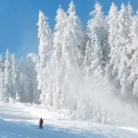 Weitgasserhof Schladming