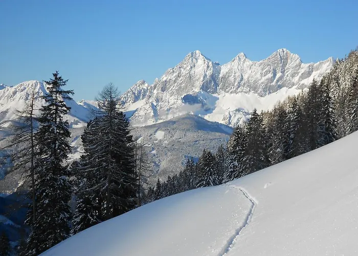 Weitgasserhof Πανσιόν Schladming