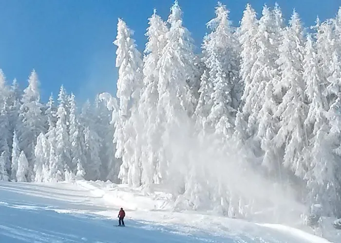 Weitgasserhof Schladming